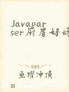 Javaparser厨房好妈妈