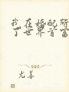 我在婚配所摇到了世界首富小说