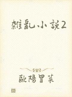 杂乱小说2