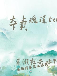 太上魂道txt下载