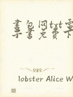 书包网txt电子书免费下载