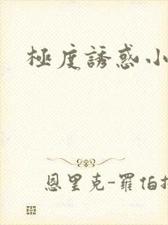 极度诱惑小说