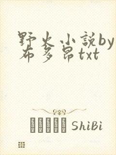 野火小说by夏布多昂txt