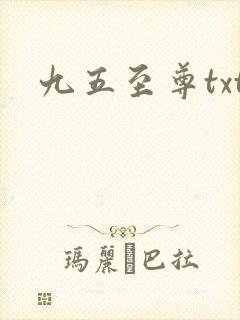 九五至尊txt
