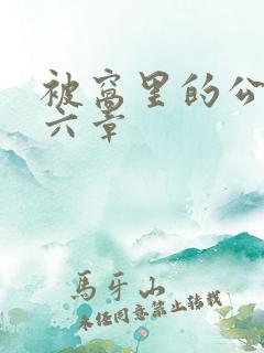 被窝里的公息十六章