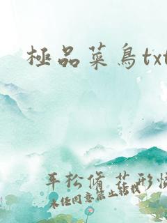 极品菜鸟txt