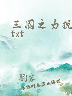 三国之力挽狂澜txt