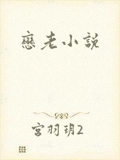 恋老小说