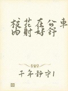 校花在公车上被内射好舒