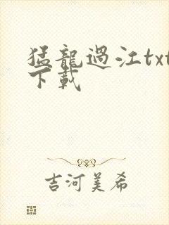 猛龙过江txt下载