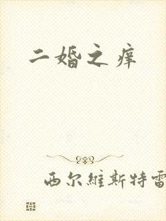 二婚之痒