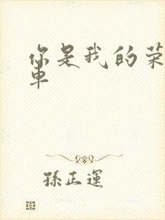 你是我的荣耀肉车