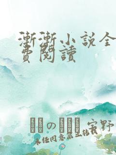 渐渐小说全文免费阅读