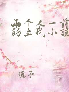 两个人一前一后的上我小说