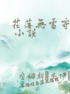 花落无处寄相思 小说