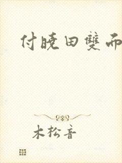 付晓田双面间谍