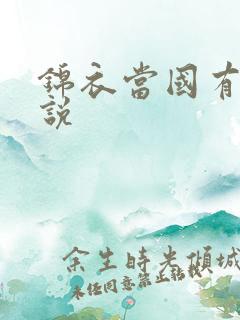 锦衣当国有声小说