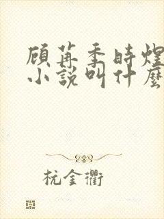 顾苒季时煜电竞小说叫什么名字