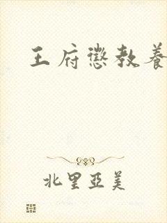 王府惩教养日常