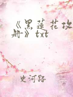 《黑莲花攻略手册》txt