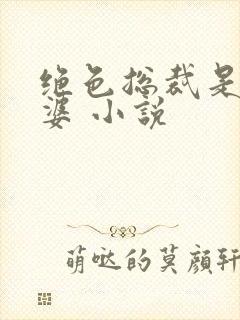 绝色总裁是我老婆 小说