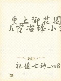 皇上御花园hlh霍冶臻小说