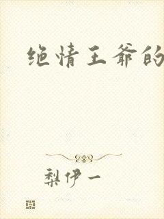 绝情王爷的丑妃