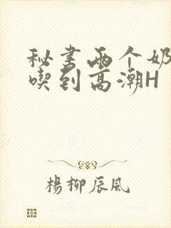 秘书两个奶头被吃到高潮H