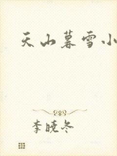 天山暮雪小说