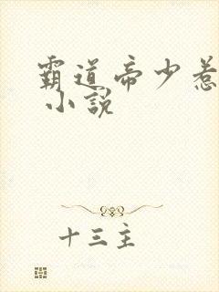 霸道帝少惹不得 小说