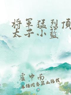 将军猛烈顶弄h太子小蓝