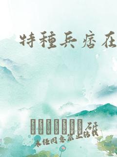 特种兵痞在都市