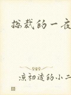 总裁的一夜情人