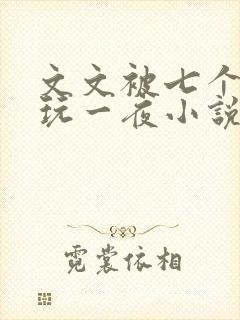 文文被七个男人玩一夜小说