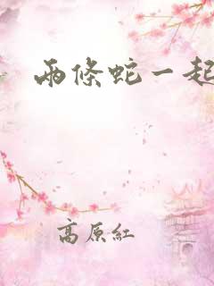 两条蛇一起要我