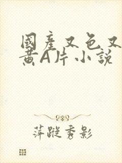 国产又色又爽又黄A片小说