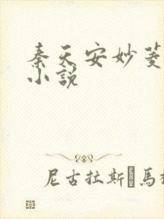 秦天安妙菱修仙小说