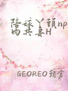 陪嫁丫头np全肉共妻H