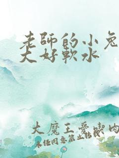 老师的小兔子好大好软水