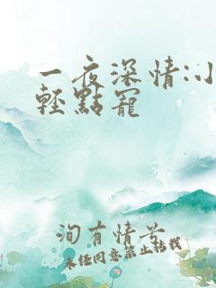 一夜深情:小叔轻点宠
