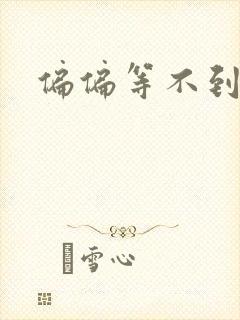 偏偏等不到小说