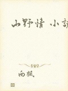 山野情 小说