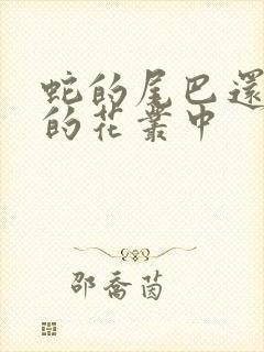 蛇的尾巴还在我的花丛中