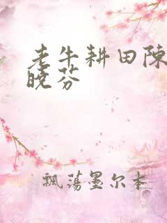 老牛耕田陈雪杨晓芬