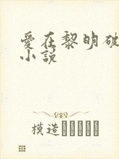 爱在黎明破晓前小说