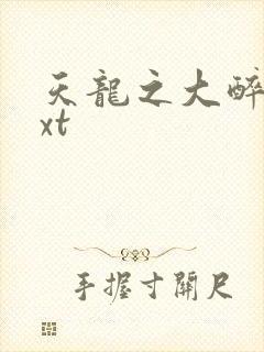 天龙之大醉侠txt