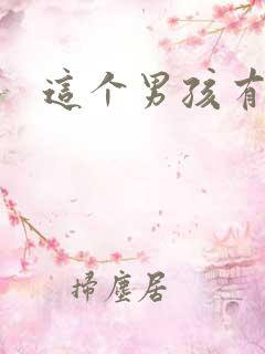 这个男孩有点野