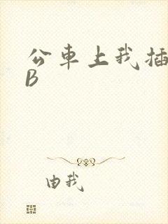 公车上我插上骚B