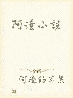 阿潼小说