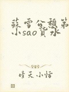 苏雪公憩第一章小sao货水